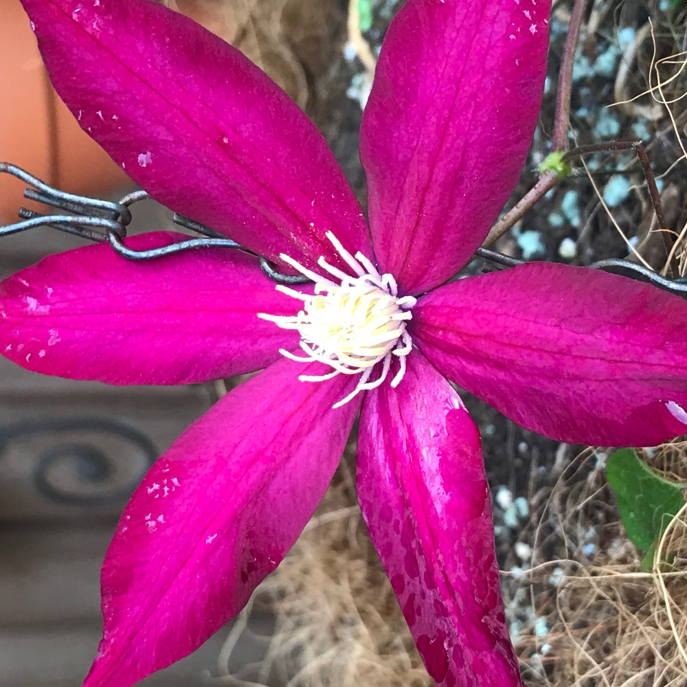 Meet your Posher, Kelley